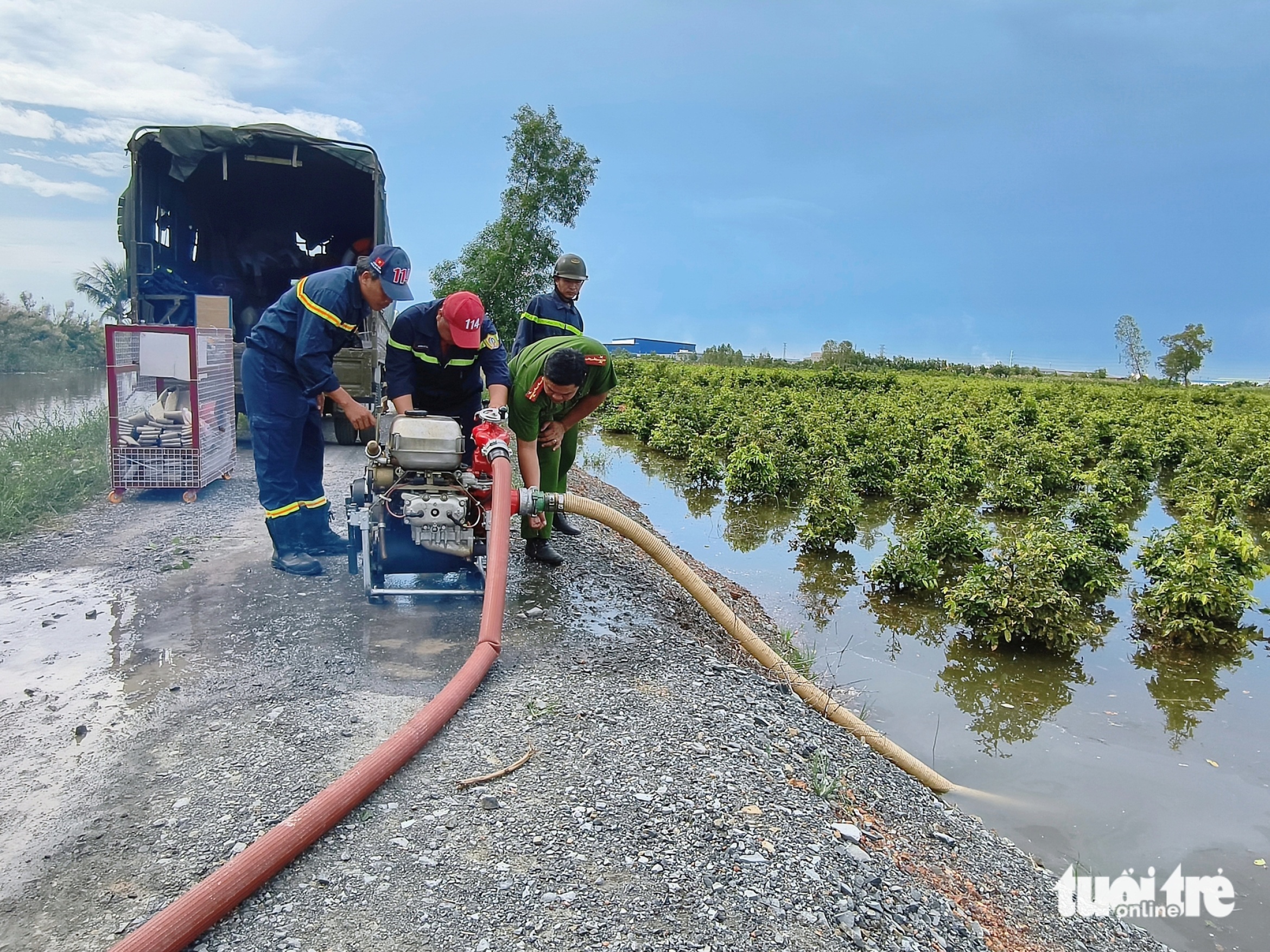 努力抽水拯救平利数十公顷被淹的黄花